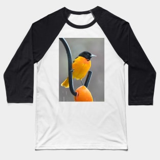 Male Oriole in light rain Baseball T-Shirt